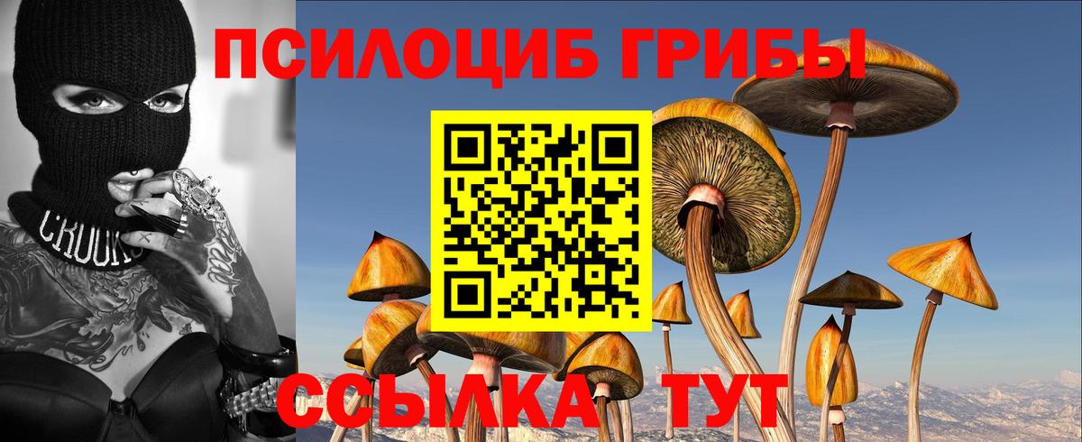Великий Устюг  Псилоцибиновые грибы прущие грибы  Вход с VPN 